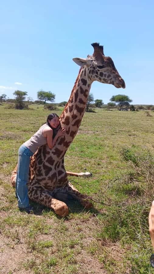 Arusha: Day Trip to Serval Wildlife - Feed Giraffes & Lions - How the $220 price adds up for a one-day itinerary