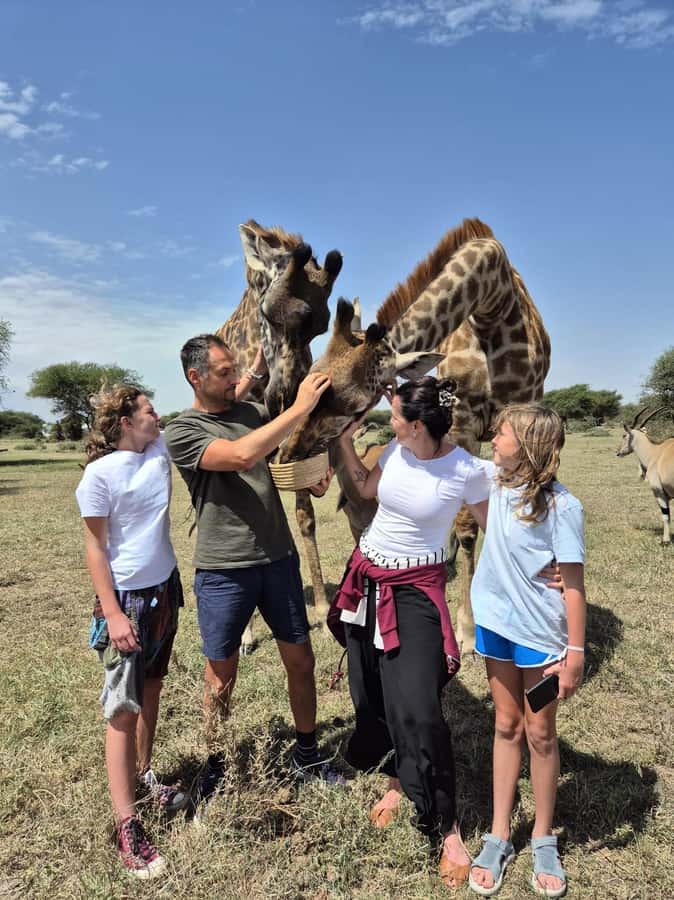Arusha: Day Trip to Serval Wildlife - Feed Giraffes & Lions - Who this day trip fits best