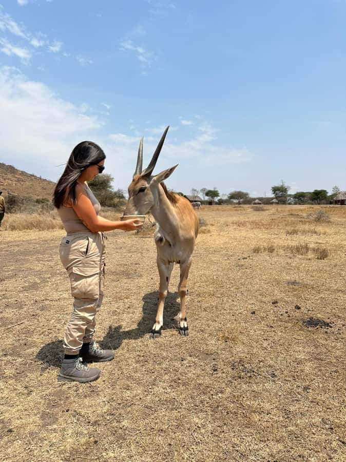 Arusha: Day Trip to Serval Wildlife - Feed Giraffes & Lions - The Arusha or Moshi morning drive: early start, big scenery