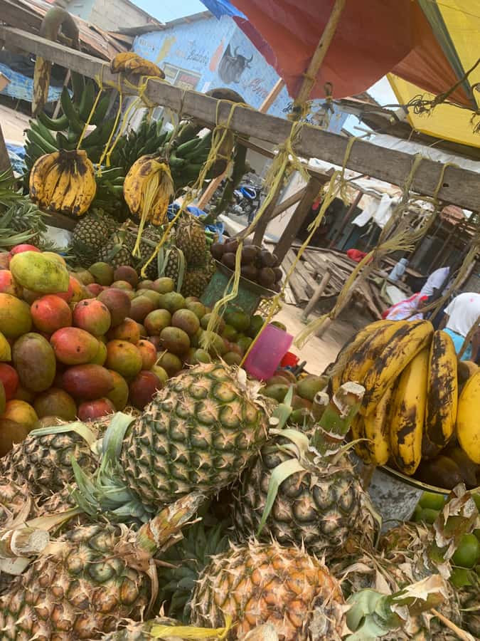 Arusha: Local Tanzanian Cooking Class by Kingstone Asilia - The Kingstone Asilia farm and the wooden nature hideaway