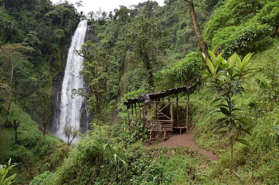 Arusha: Materuni Waterfalls, Coffee, and Hotsprings Tour - Quick hits before you go