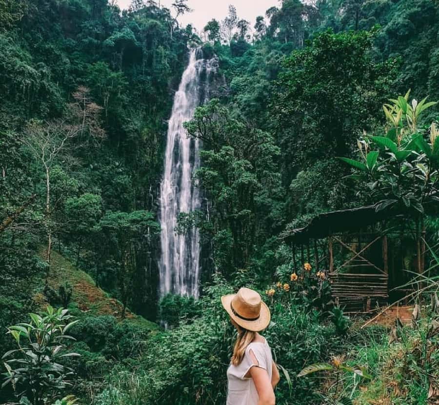 Arusha: Materuni Waterfalls, Coffee, and Hotsprings Tour - Materuni Village and the Falls Hike, Including Swims and Mud Risk