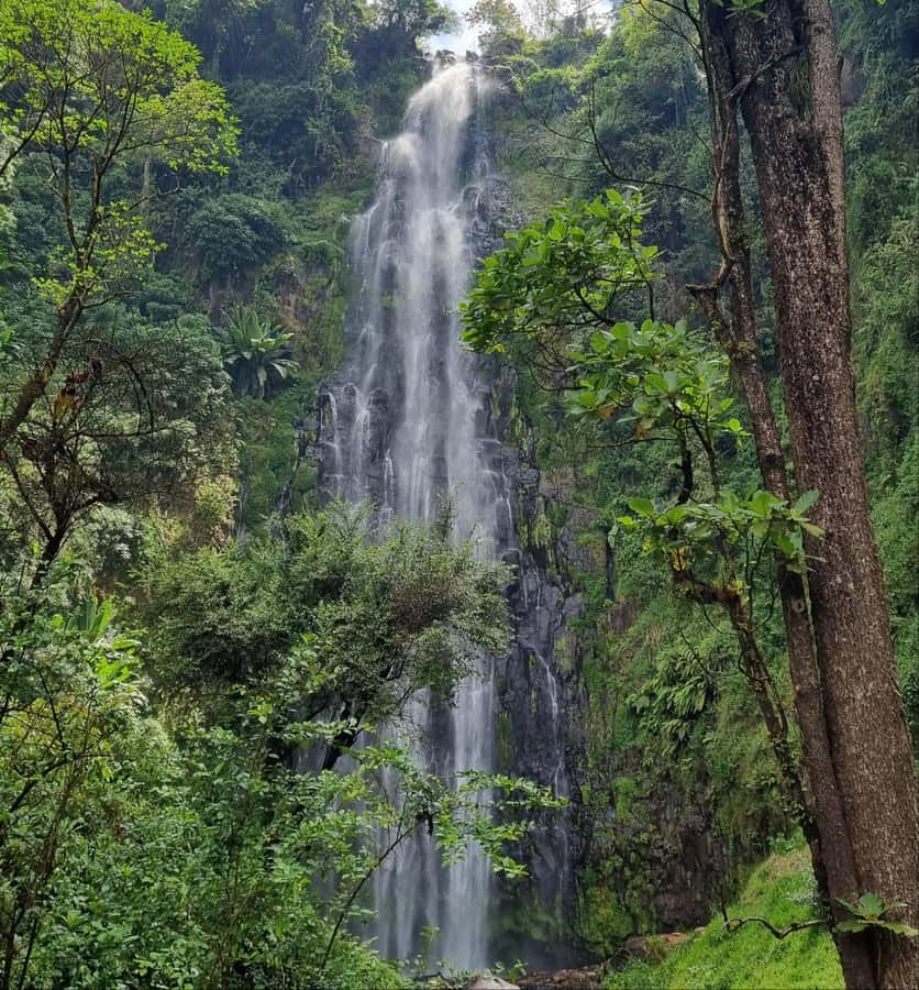 Arusha: Materuni Waterfalls, Hot Springs and/or Coffee Tour - What makes this Materuni and Chemka day trip special