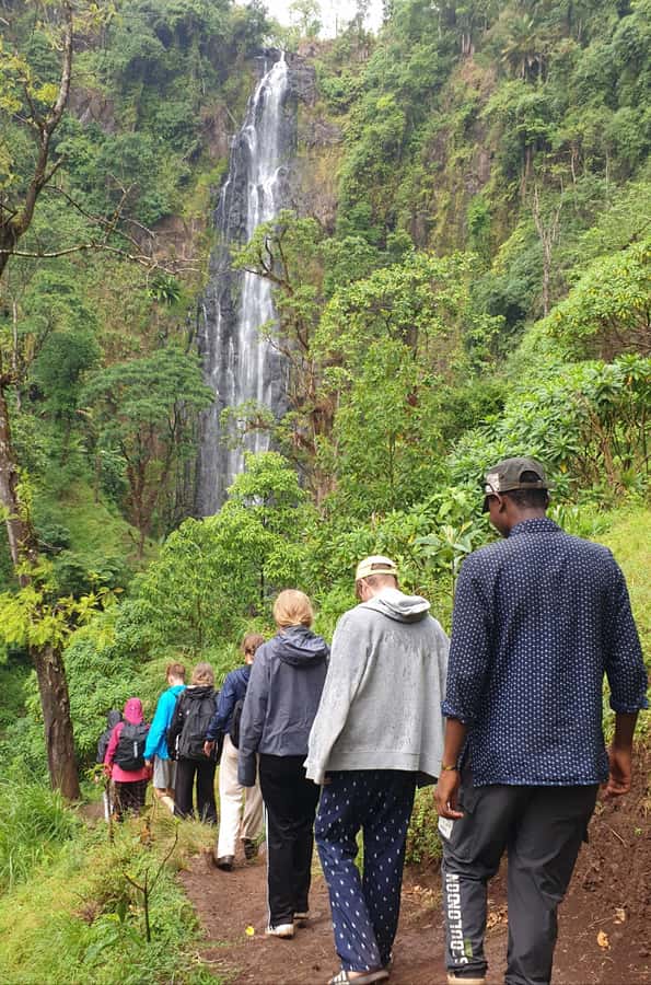 Arusha: Materuni Waterfalls, Hot Springs and/or Coffee Tour - Coffee tour in Materuni: Arabica from scratch to a cup