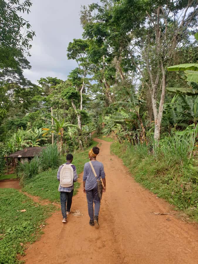 Arusha: Materuni Waterfalls, Hot Springs and/or Coffee Tour - Lunch of Tanzanian dishes: a real midday reset