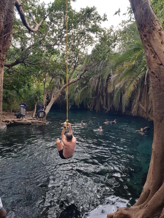 Arusha: Materuni Waterfalls, Hot Springs and/or Coffee Tour - Chemka Hot Springs (Kikuletwa): warm water, a swim, and time to linger