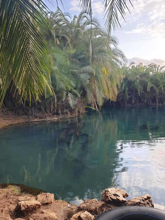 Arusha: Materuni Waterfalls, Hot Springs and/or Coffee Tour - Logistics that matter: timing, pickup zones, and how to plan your day