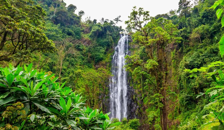 Arusha: Materuni Waterfalls, Hot Springs and/or Coffee Tour - My decision guide: should you book the Materuni Waterfalls, coffee, and Chemka hot springs tour?