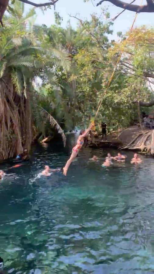 Arusha/Moshi Hot Springs Tour (Chemka) by Kingstone Asilia - Key highlights to know before you go