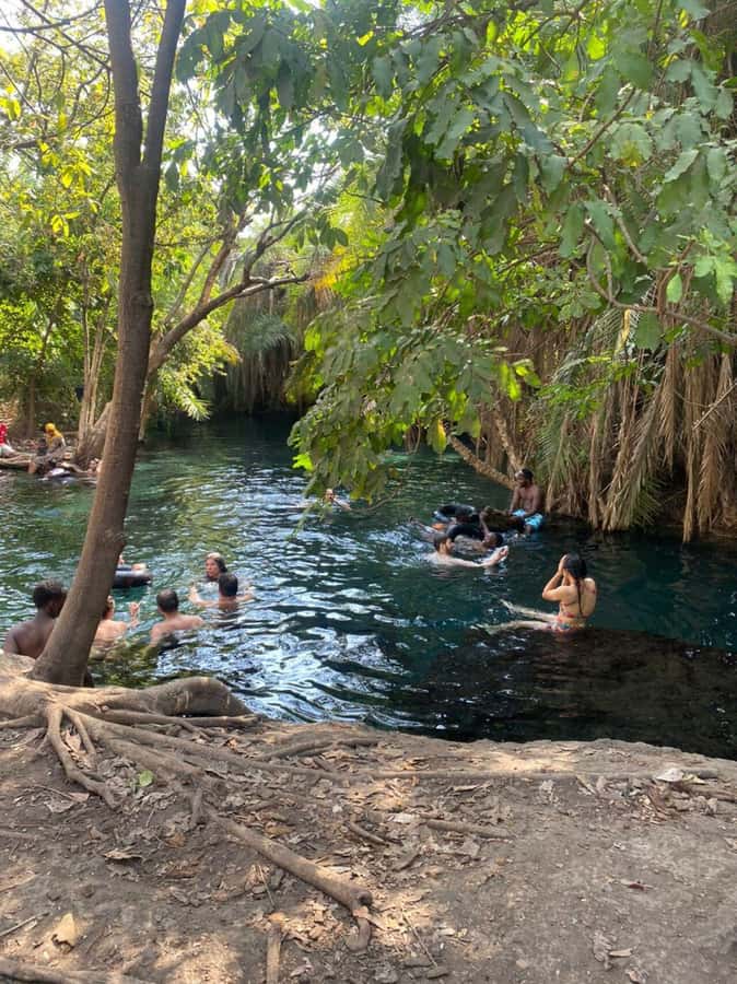 Arusha/Moshi Hot Springs Tour (Chemka) by Kingstone Asilia - Who this tour fits best, and who should rethink it