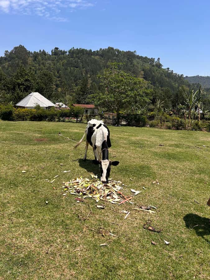 Arusha: Napuru Waterfalls Guided Hike - From Arusha pickup to the start of the hike