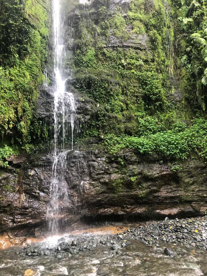 Arusha: Napuru Waterfalls Guided Hike - What to wear and bring for wet footing