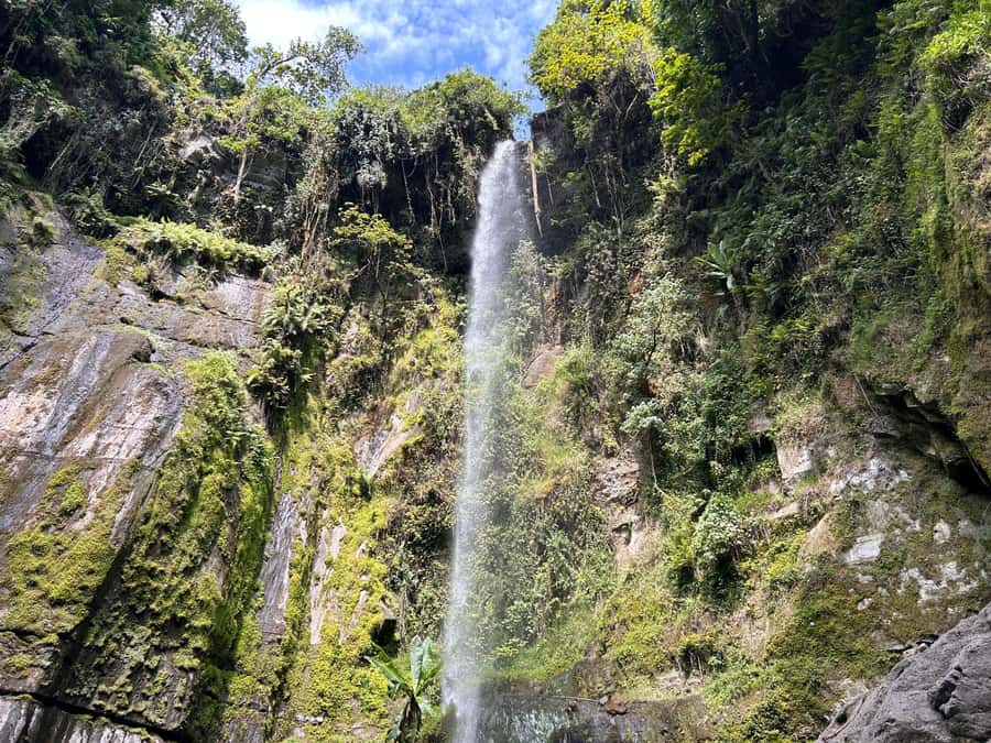 Arusha: Napuru Waterfalls Guided Hike - Village walking before the forest reserve quiet