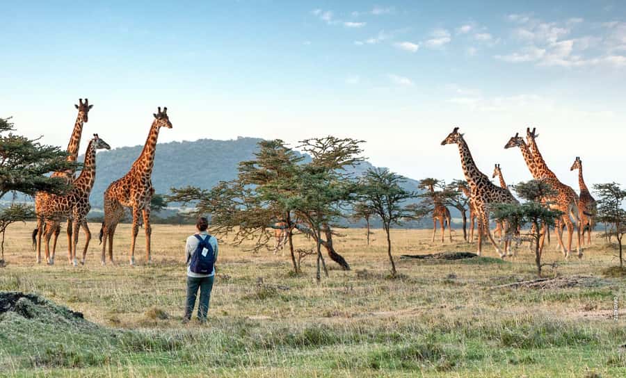 Arusha National Park Day Tour with All-Inclusive - Mount Meru Views and the Vegetation Zones You Actually Get to See