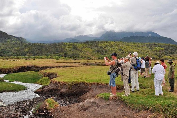 Arusha National Park Day Trip - 4x4 transportation, private format, and the feel of your day