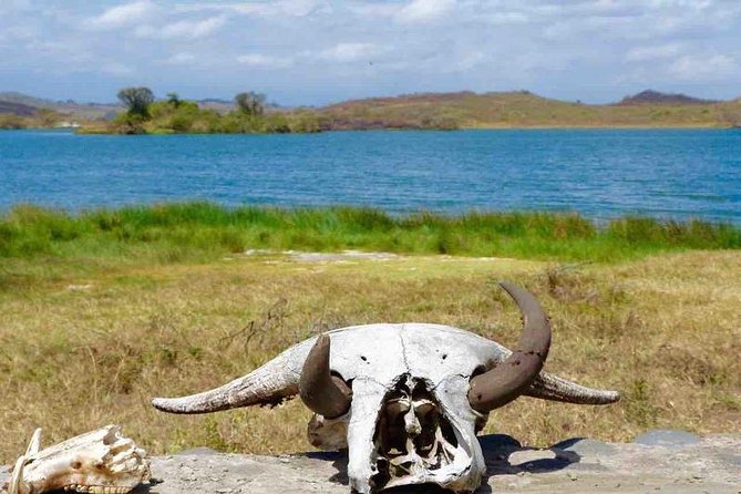 Arusha National Park Day Trip - Price and value: is $300 fair for an Arusha day safari?