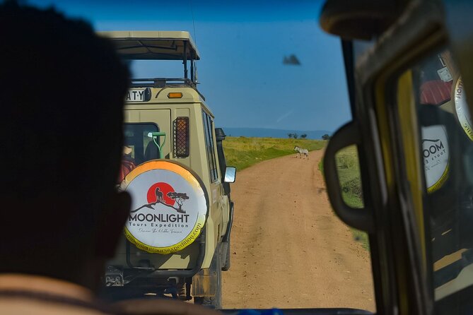 Arusha National Park Day Trip - The 1:30 pm Start: How the Timing Affects Your Safari Day