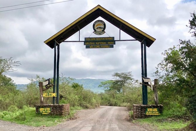 Arusha National Park Guided Day Tour from Arusha - Entering Arusha National Park, the day starts with a real timetable