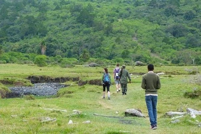 Arusha National Park Guided Day Tour from Arusha - Who this tour suits best (and who should rethink it)