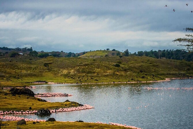 Arusha National Park Guided Day Tour from Arusha - A quick checklist for the day