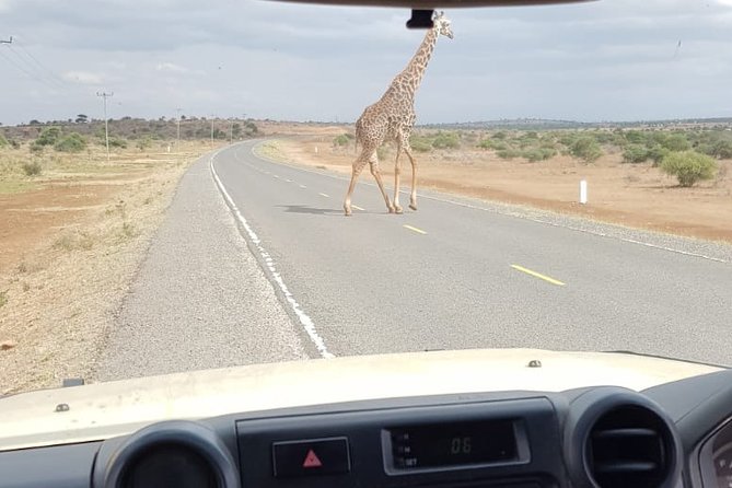 Arusha National Park Half Day Tour - Price and what you really get for $197.31