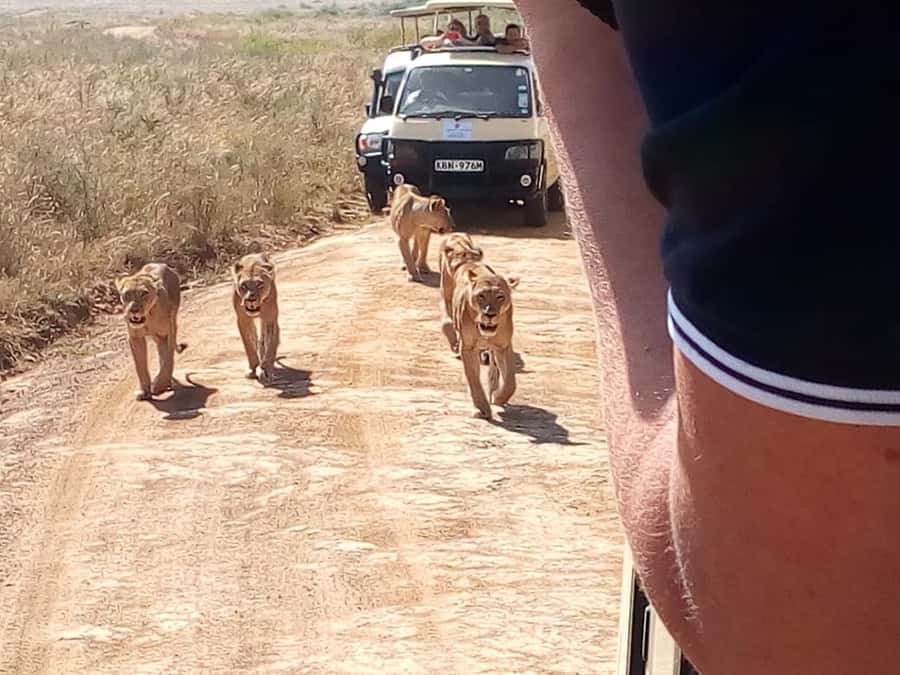 Arusha National Park: Private Jeep Tour - Game drive highlights: what you’re likely to spot, and what’s harder