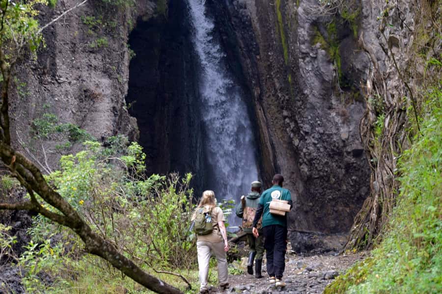 Arusha National Park: Walking Safari and Game Drive - Wildlife Game Drive: The Animals You’ll Be Watching For