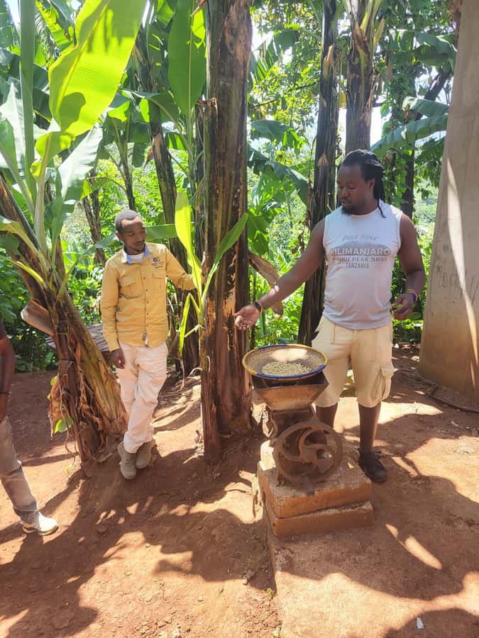 Arusha or Moshi : Hot Spring, Waterfall & Coffee Farm Tour - Should you book: who fits this tour and who might not