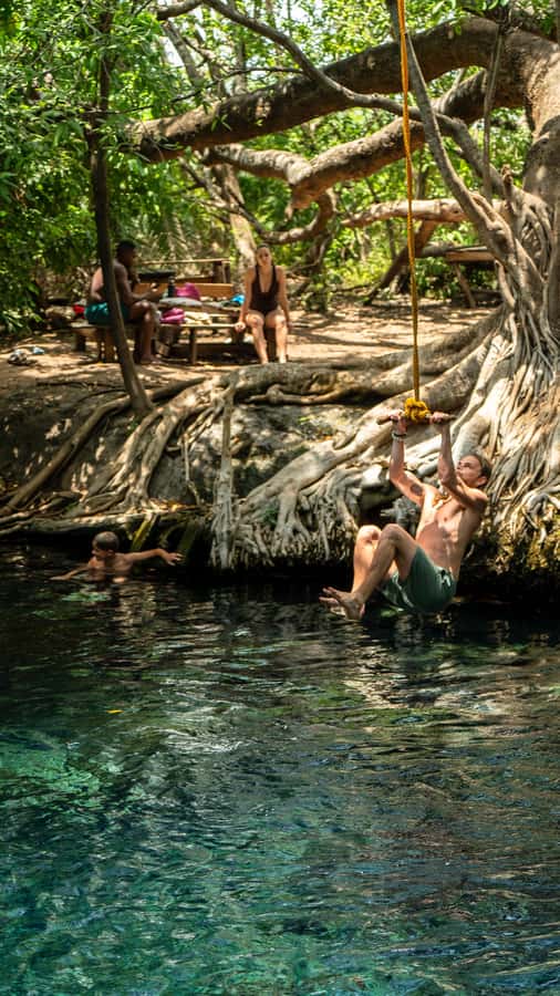 Arusha or Moshi : Hot Spring, Waterfall & Coffee Farm Tour - FAQ