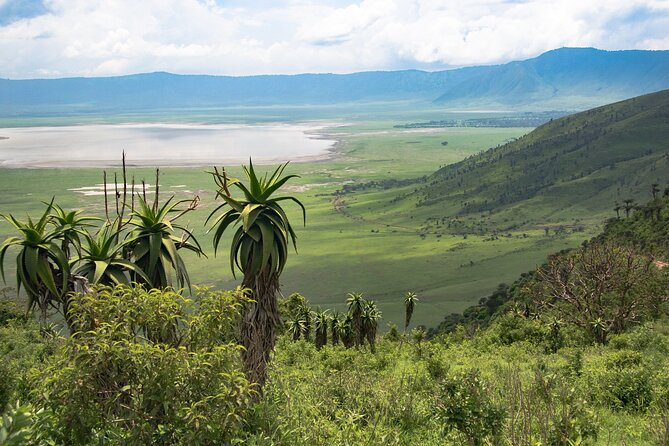 Arusha: Private 3 Day Safari Tarangire, Ngorongoro, Lake Manyara - Day 2 inside the Ngorongoro Crater: the 8th World Wonder and a Big Five-style day