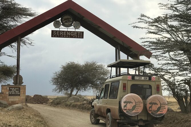 Arusha Private Transport Service in Tanzania - Price and Logistics: What $50 Per Group Really Covers