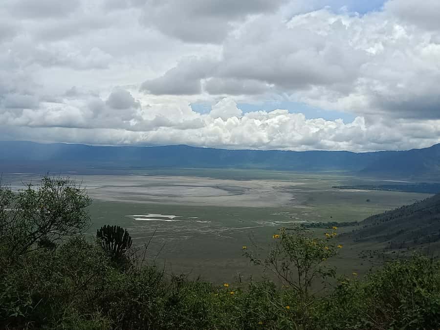 Arusha: Serengeti and Ngorongoro Multi-Day Camping Safari - Ngorongoro Crater Floor Game Drives: Flamingos, Springs, and the Animal Concentration