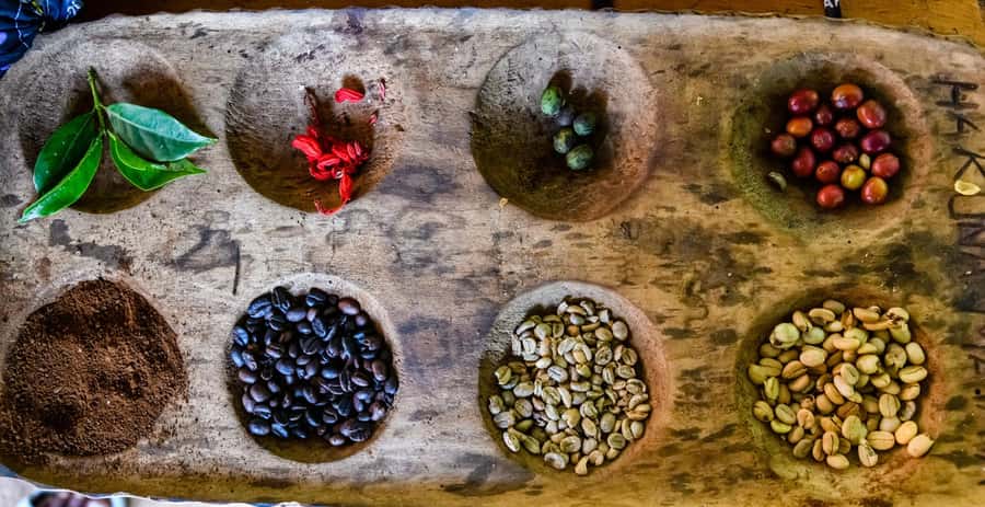 Arusha: Traditional Coffee Preparation(coffee tour) - Meeting Naturalland Expeditions: Simple, Main-Road Start