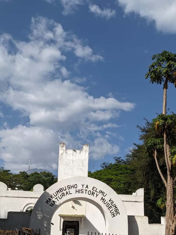 Arusha; Walking City Tour History, Culture & Lifestyle - Tanzanite Experience Museum: Learn the Stone, Then Decide If You Want to Buy
