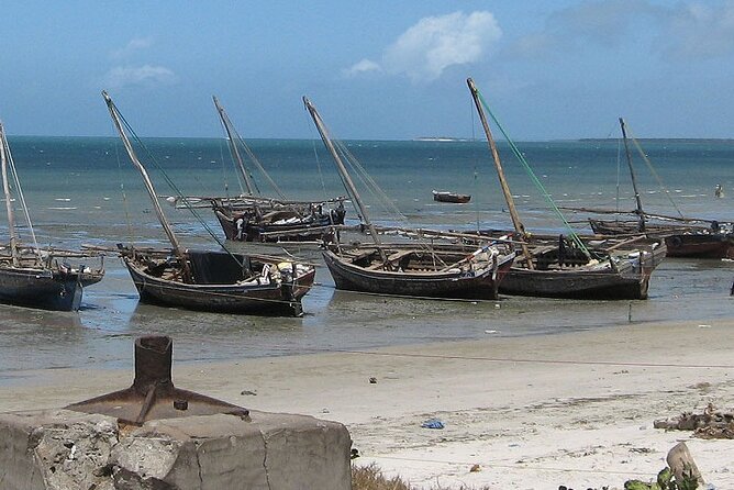 Bagamoyo Historical Tour - Everyday - Mangroves, Beaches, and How the Route Matters