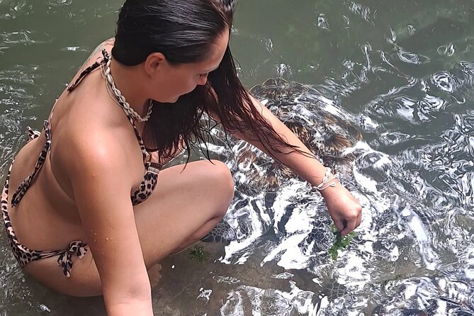 Baraka Aquarium and Dolphin Sightseeing with Sunset Cruise - A Full Zanzibar Day: Dolphins, Turtle Time, and a Dhow Sunset