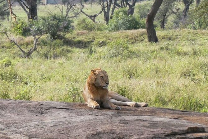 Best 3 days Tanzania shared Safari Tarangire Ngorororo Manyara - Lake Manyara Final Day, Then Back to Arusha