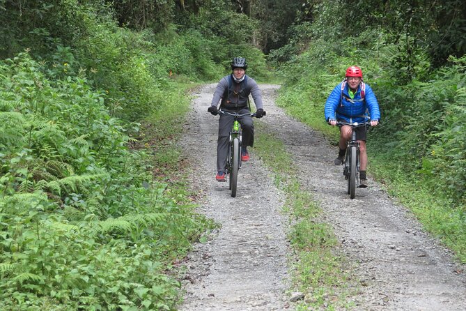 Best 5 Days Kilimanjaro Bike Trek Tour via Marangu Kilema Route - Guides, Support, and How the Trip Manages Real-World Challenges