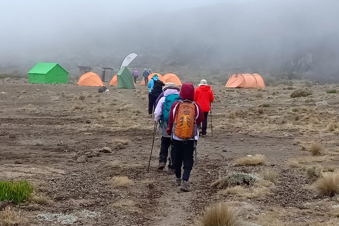 Best Kilimanjaro Adventure 7 days Machame route Trekking - Day 1: Machame Gate rainforest hike and your first camp night