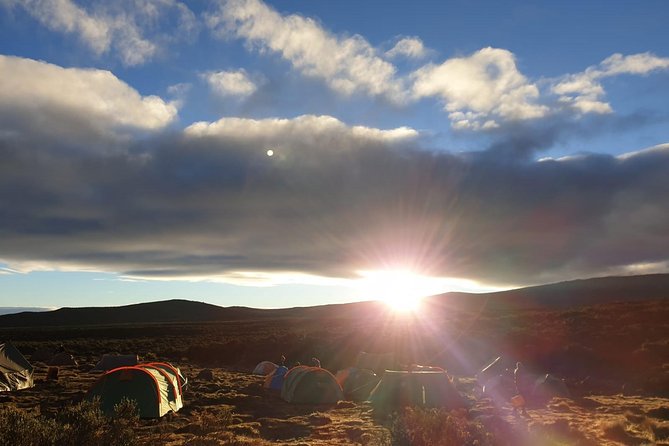 Best Kilimanjaro Adventure 7 days Machame route Trekking - Day 7: The 3-hour forest exit hike and the drive back to Moshi or Arusha