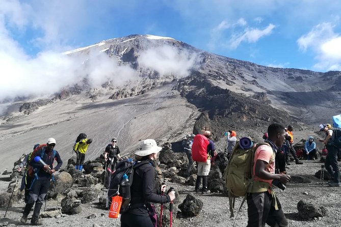 Best Kilimanjaro Adventure 7 days Machame route Trekking - Day 2 to Shira Camp: Ridgelines, rocky steps, and a camp with a strong base