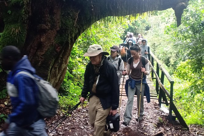Best Kilimanjaro Adventures 6 Days Marangu Route Experience - Best Kilimanjaro Marangu Route highlights you will actually feel