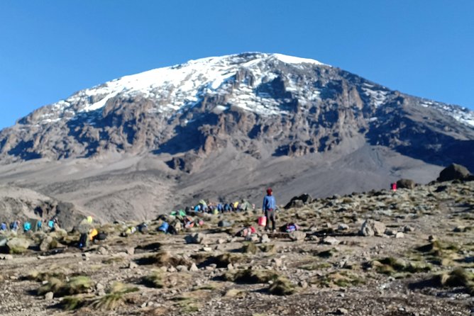 Best Kilimanjaro Adventures 6 Days Marangu Route Experience - Day 2 moorland to Horombo Hut, plus why lunch at Kambi ya Taabu helps