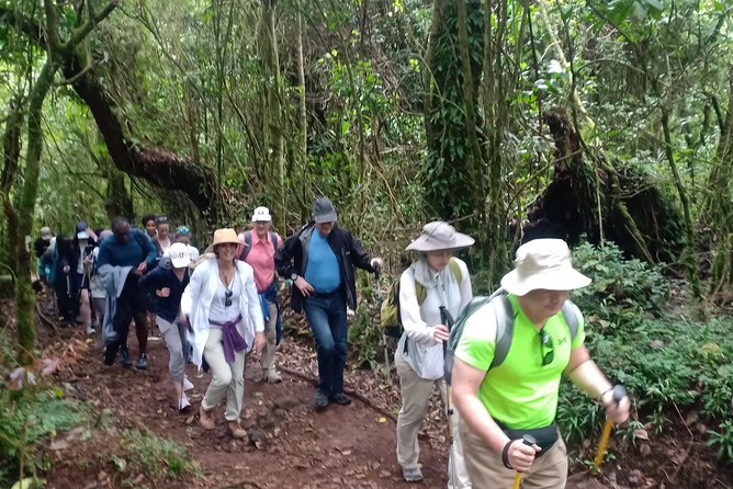 Best Kilimanjaro Adventures 6 Days Marangu Route Experience - Day 3 acclimatization day toward Mawenzi Hut, the smart higher-and-back move