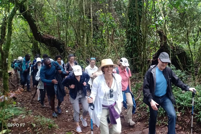 Best Kilimanjaro Adventures 6 Days Marangu Route Experience - Day 4 the upper zones hike to Kibo Hut, where views fight fatigue