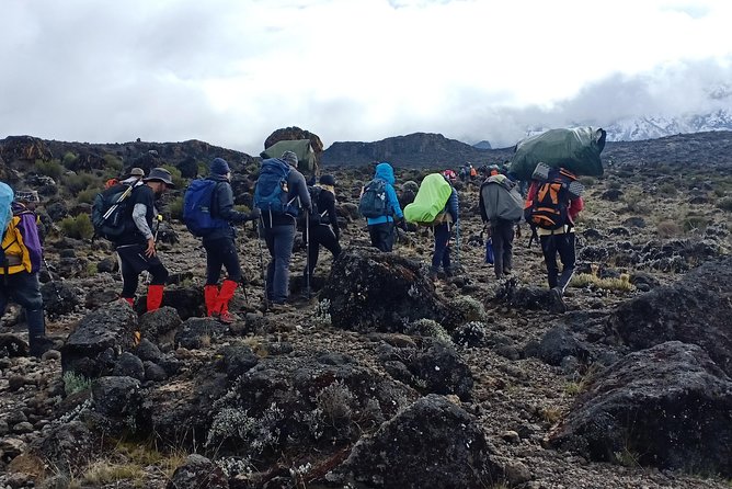 Best Kilimanjaro Adventures 6 Days Marangu Route Experience - Day 5 midnight summit to Gillman’s Point and Uhuru Peak, the hard part done with guidance