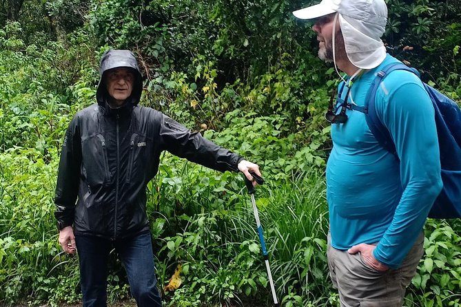 Best Kilimanjaro Adventures 6 Days Marangu Route Experience - Day 6 cloud forest descent to Marangu Gate, and why careful footing matters