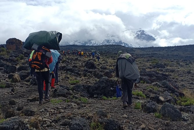 Best Kilimanjaro Adventures 6 Days Marangu Route Experience - Huts on the Marangu Route: what “beds with mattresses” changes