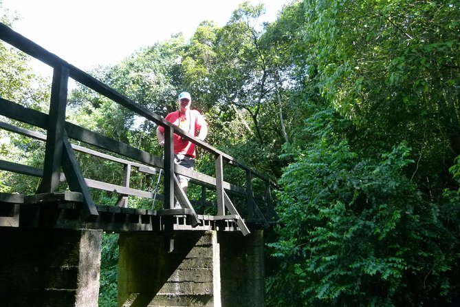 Best Kilimanjaro hiking day trip tour with Kilinge Adventures - Key things I’d circle before you go