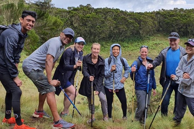 Best Kilimanjaro hiking day trip tour with Kilinge Adventures - Registering at the gate and stepping onto the Marangu Route